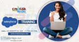 SALESFORCE TRAINING IN NOIDA