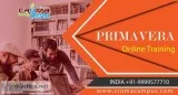 Primavera Online Training