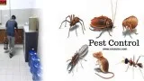 Pest Control Services