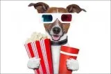 3D Video Club Will find you the Lowest prices on all your Electr