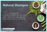 Natural Shampoo