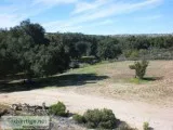 FOR SALE - BEAUTIFUL OAK RANCH TREE IN BAJA