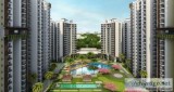 Ace Divino Noida Extension  West 2BHK Flat 8750488588