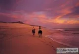LUXURIOUS CABO SAN LUCAS 4 DAY GOLF GETAWAY 498 PER COUPLE (Not 