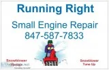 TORO SNOW BLOWER REPAIR INGELSIDE IL