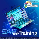 SAP ERP Training Courses and Certification Institutes in Ghaziab