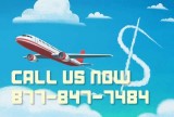 Book Cheap International Flights at Low Cost