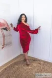 Gia Velvet Dress