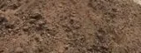 Free Clean Dirt