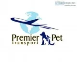 Pet cargo Melbourne&nbsp