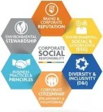 CSR partnership with NGO