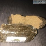 Get connected to Calis top plug