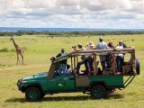 Enjoy with your kids at Wildlife Tour packages