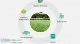 Artificial football grass