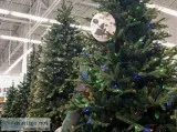 Classic Pine Full Pre-lit Christmas Tree 6.5  With Clear Lights 
