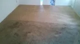Carpet cleaning services