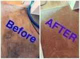ANDREWS CARPET CLEANING. real steam extraction 3 rooms