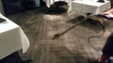 carpet cleaning and upholstery cleaning