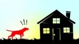 Earn Extra Income As A House Hunter