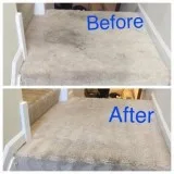 Carpet cleaning steam cleaning