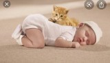 Carpet Cleaning Miami FL service