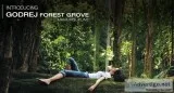 2 BHK Apartments for Sale in Godrej Forest Grove Mamurdi Pune