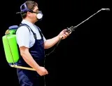 Best Flies Control Service in Noida