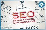 Looking For Best SEO Services in Delhi