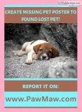 LOST AND FOUND PET RESCUE COMMUNITY