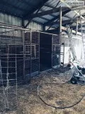 Portable Horse Stalls
