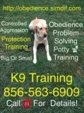Affordable obedience potty training