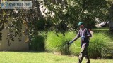 Pest Control Rochester NY