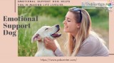 Emotional Support Dog