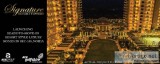 Ace Golfshire 3 BHK Apartments in Sector 150 Noida