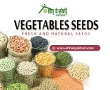 Purchase Online Vegetable Seeds With Cheapest Value
