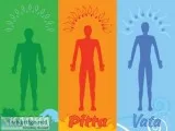 Kapha Dosha Treatment in Nagpur  Kapha ayurveda Type  Parijatak