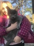 Sweet kitty to good home