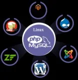 PHP Development Company