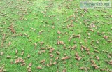 AerationGeek