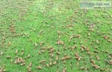 AerationGeek