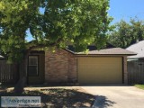 2 bedroom 1 bath Arlington Heights - Freshly updated 2 bedroom