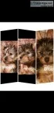 Yorkie puppies