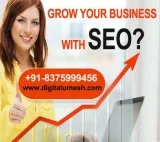 best SEO Company in pitampura  delhi