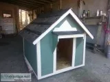 new dog houses