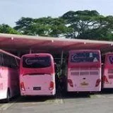 charter bus Singapore
