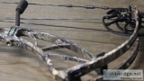 Archery Bow for Sale