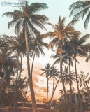 Home Based Travel Agent