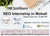 Seo Training in Chandigarh
