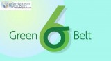Looking for Online Training for Six Sigma Green Belt