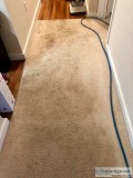 Quality Carpet Cleaning in Aurora By Denver Pros